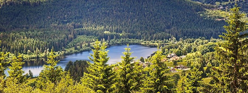 Schwarzwald - shutterstock.com - karp5